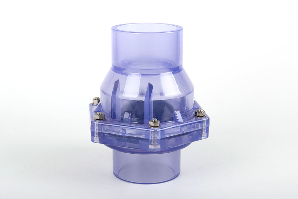 磴口透明翻板式止回阀